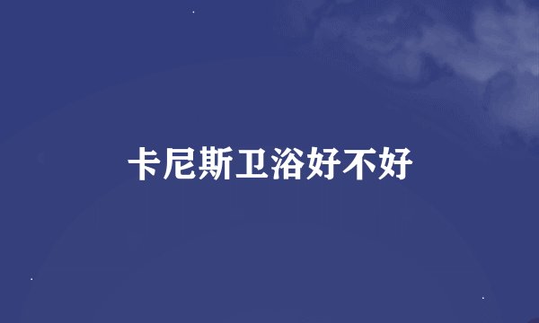 卡尼斯卫浴好不好