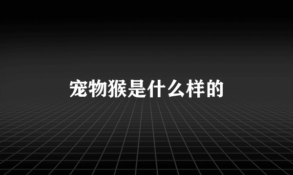 宠物猴是什么样的