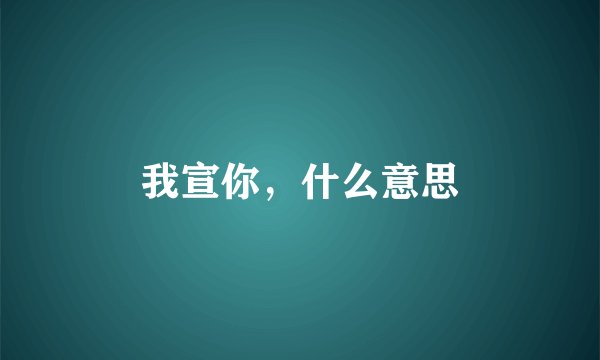 我宣你，什么意思