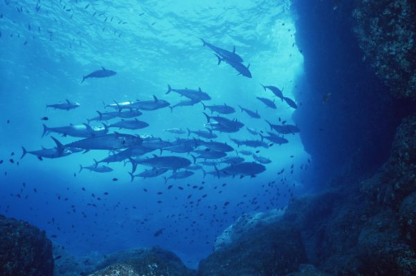 依据联合国海洋法公约中国主张应该拥有的管辖海洋面积约多少万平方公里我们称