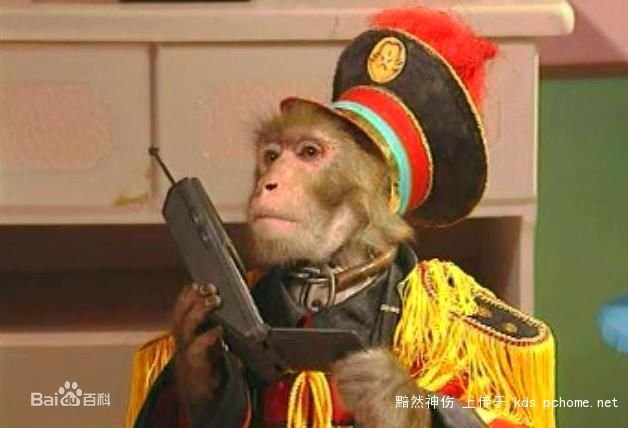 九几年的一部儿童动物动画片，动物王国里面好坏两派动物战斗的故事，狮子，老虎，大象，犀牛等求名字