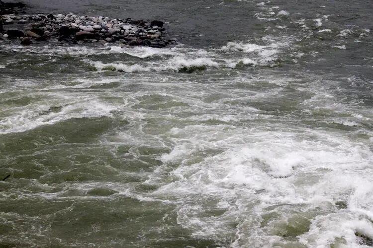 浅浅的拼音怎么拼写