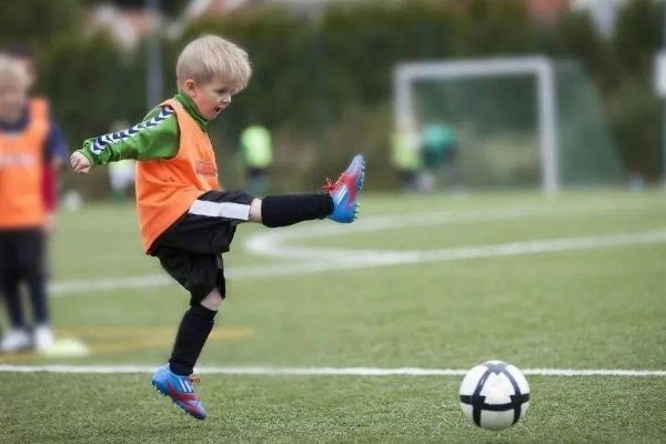 踢球的踢可以组什么词