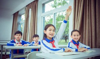 代乳粉是什么意思 代乳粉的含义