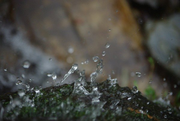 关于清明节的五言绝句并只有四句