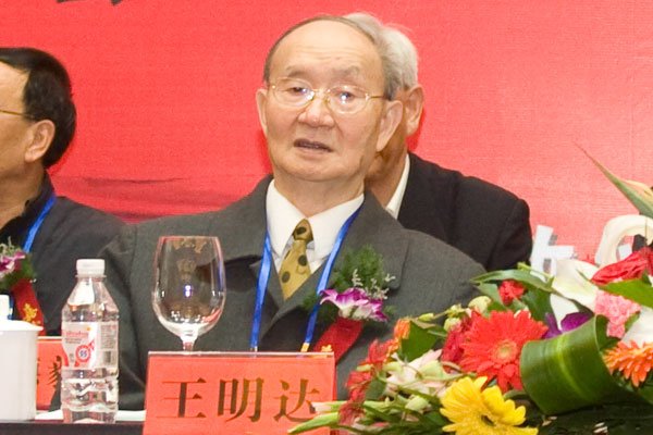 吴启迪的学术成就