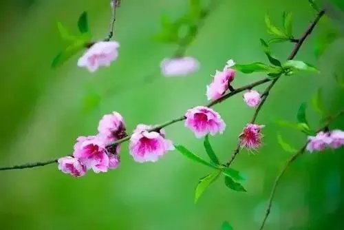 三月的春光是不是特别好呢？