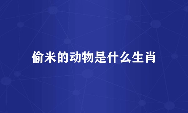 偷米的动物是什么生肖