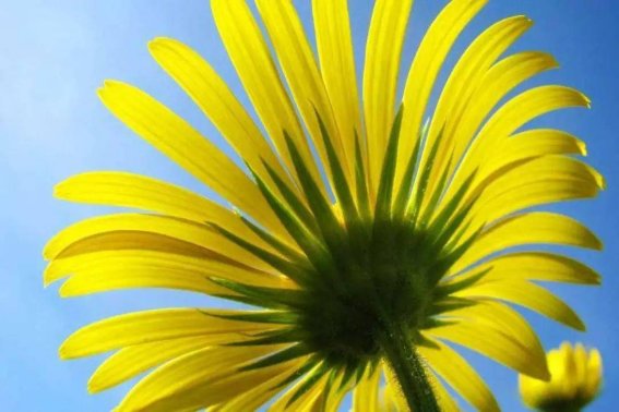 阳光很暖心情很好的句子