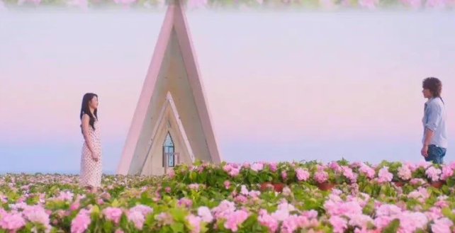 夏花的大结局剧情介绍