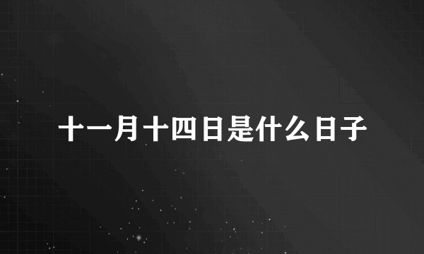 十一月十四日是什么日子