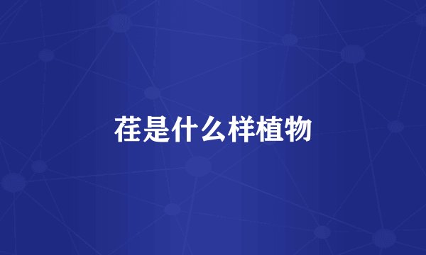 荏是什么样植物