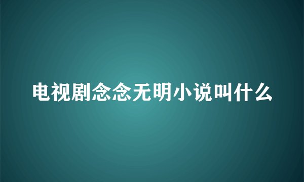 电视剧念念无明小说叫什么