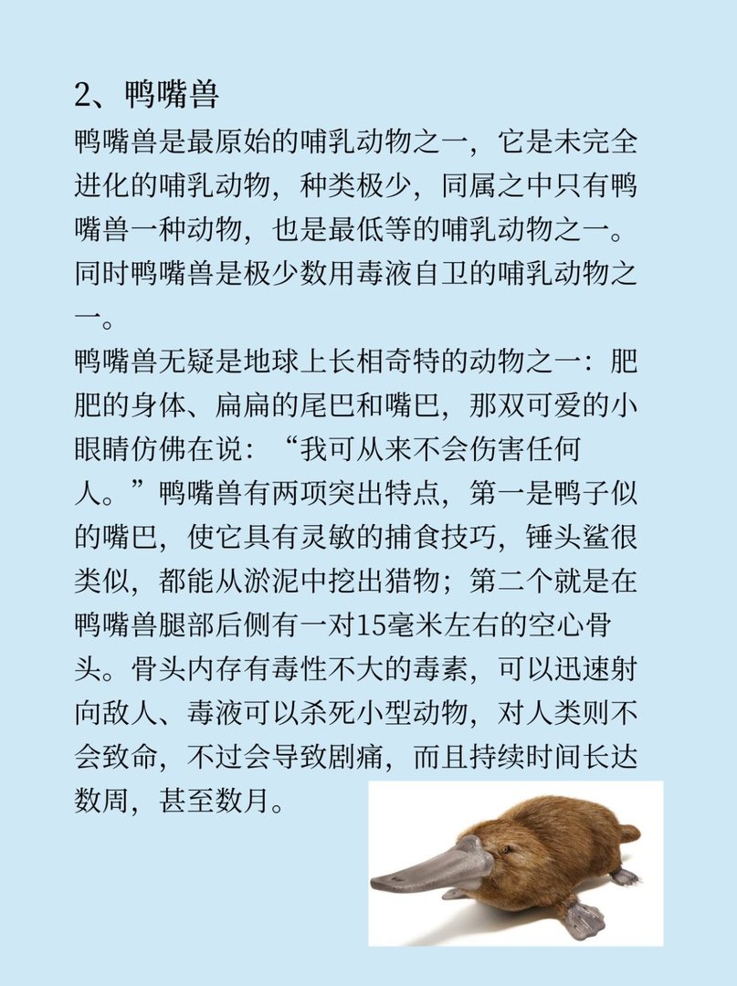 有什么稀奇古怪的东西