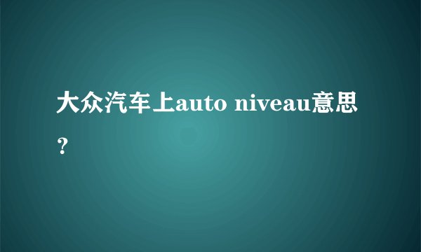 大众汽车上auto niveau意思？