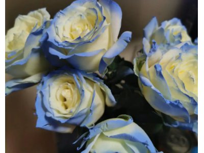 碎冰蓝适合送什么人