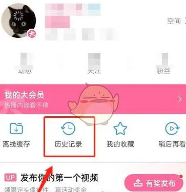 B站的历史纪录可以删吗？