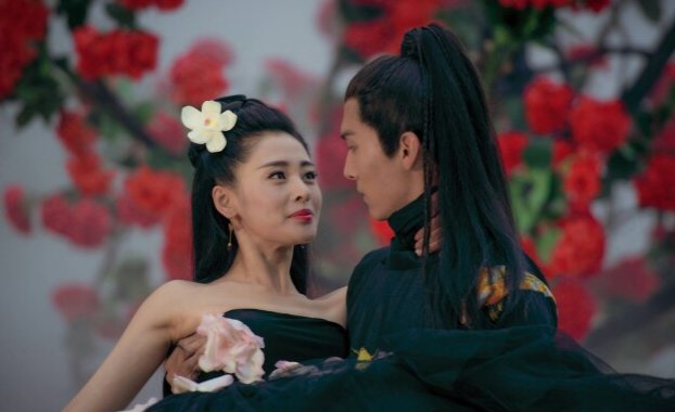 太子妃升职记大结局张芃芃是被什么人杀死的，那些黑衣人为什么会杀齐晟？