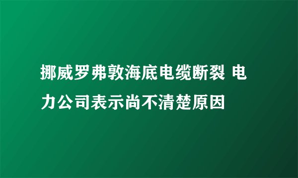 挪威罗弗敦海底电缆断裂 电力公司表示尚不清楚原因