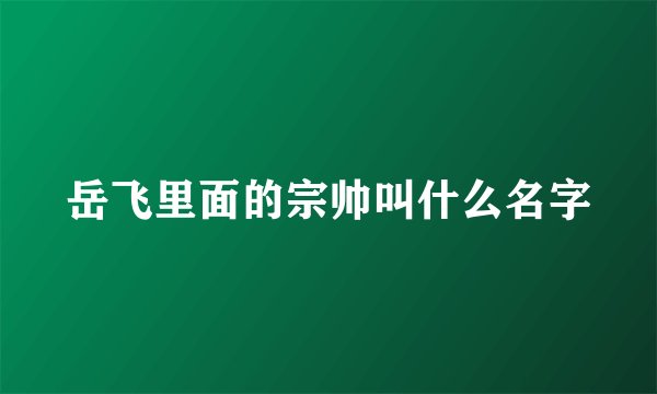 岳飞里面的宗帅叫什么名字