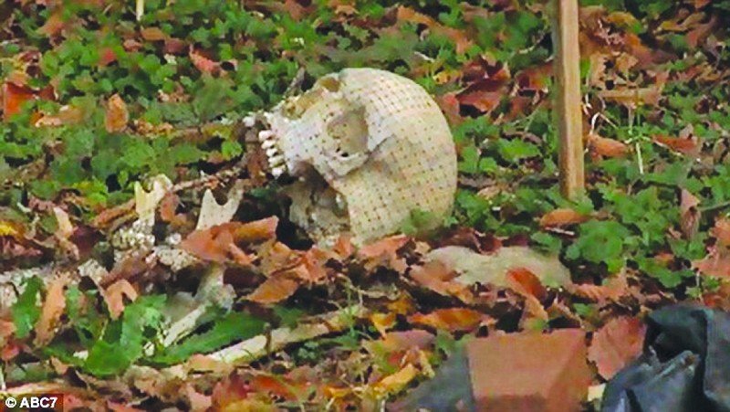 尸体农场的由来