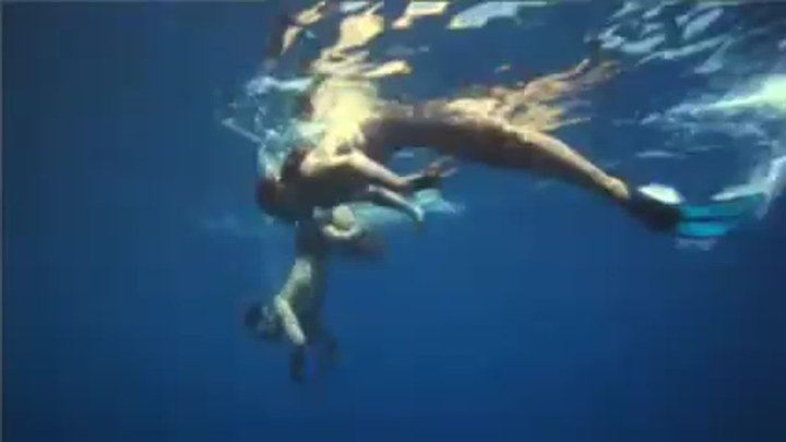 大堡礁惊魂的基本信息