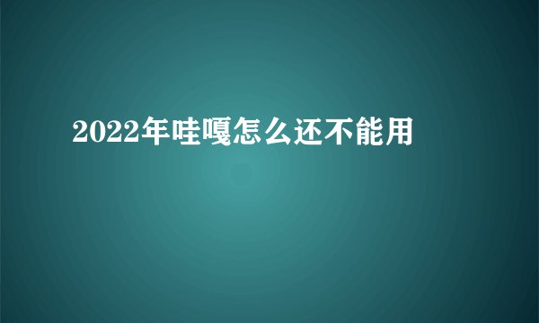 2022年哇嘎怎么还不能用
