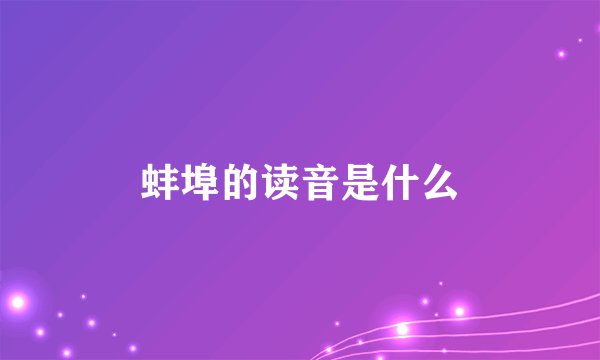 蚌埠的读音是什么