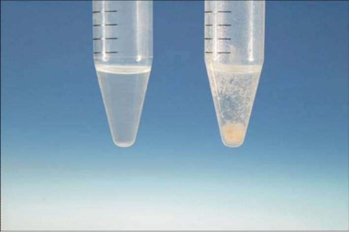 沉淀成本是生产需要预支的启动成本。()