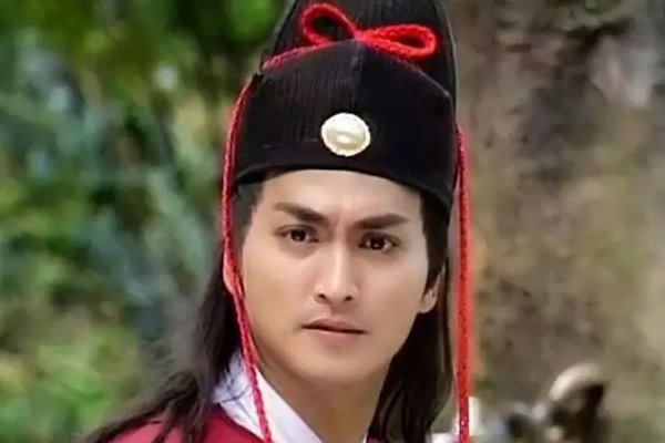 开封奇案演员表