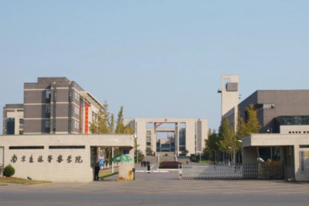 南京森林公安2022录取分数线