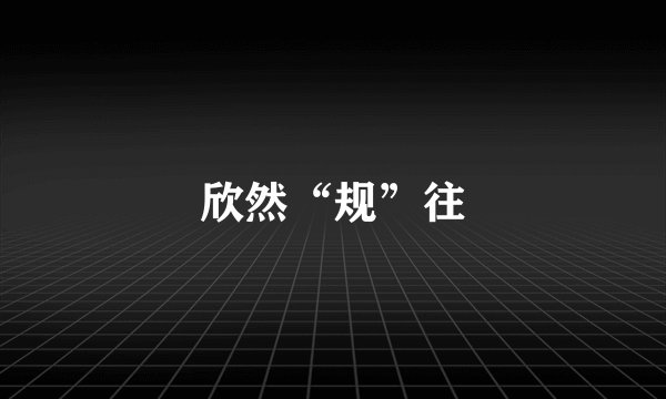 欣然“规”往