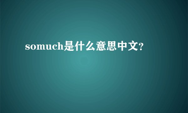 somuch是什么意思中文？