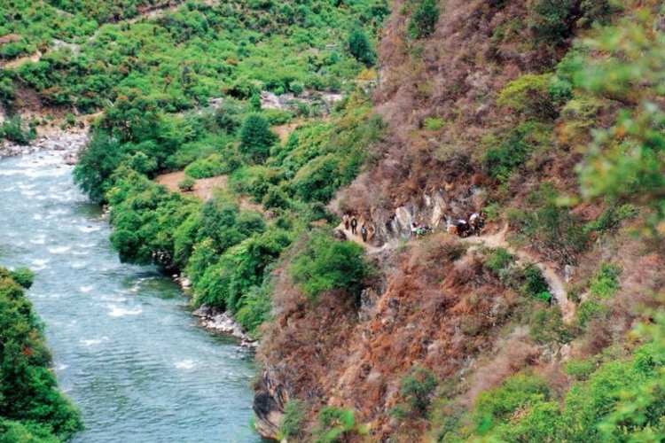 入地无门的上一句是什么意思