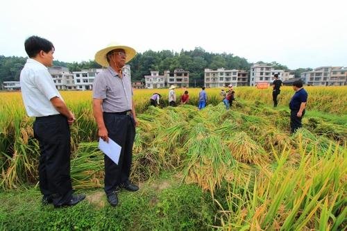 袁隆平院士是专科毕业还是本科毕业？