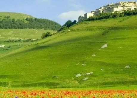 形容草的四字词是什么？