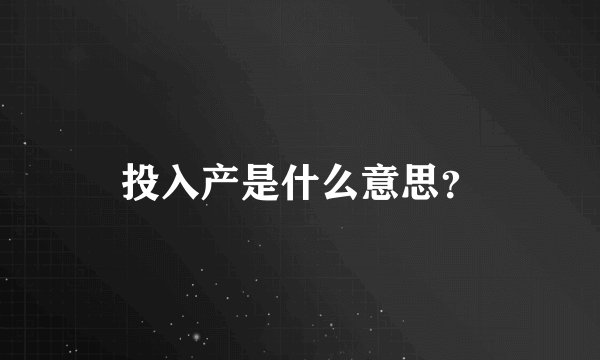 投入产是什么意思？