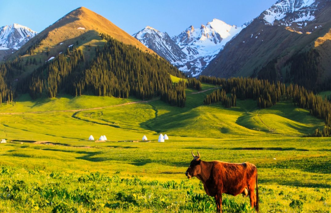 那拉提汉语是什么意思？