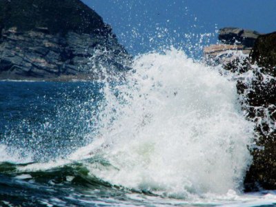 什么花飘着开，什么花走着开，什么花天上开，什么花火里开。