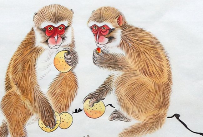 火烧眉毛打一生肖最佳答案