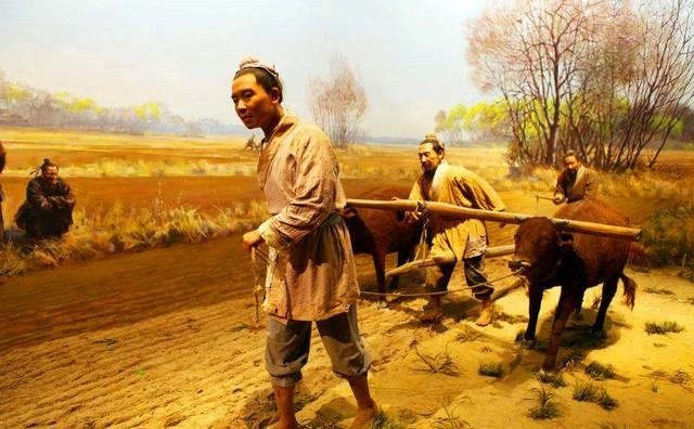 北粟南稻农耕文化格局的形成