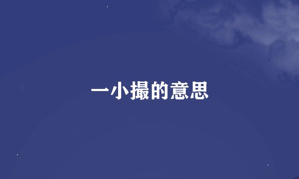 一小撮的意思