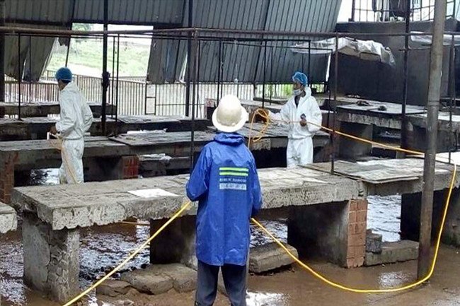 谢洋波的人物履历