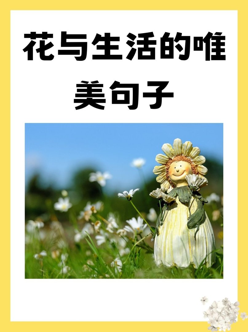 花与生活的唯美句子