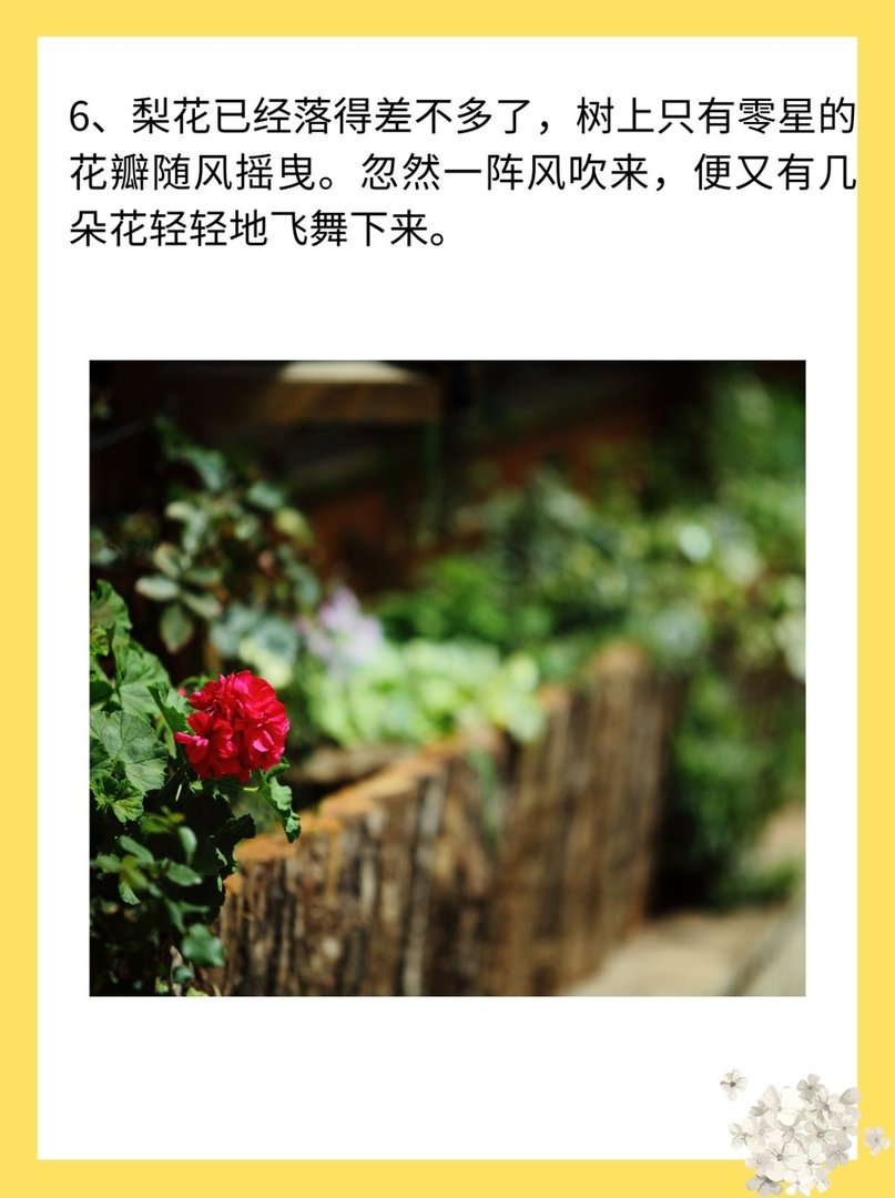 花与生活的唯美句子