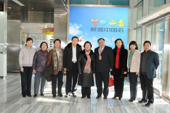 林文漪的个人履历