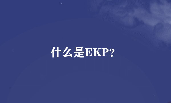 什么是EKP？