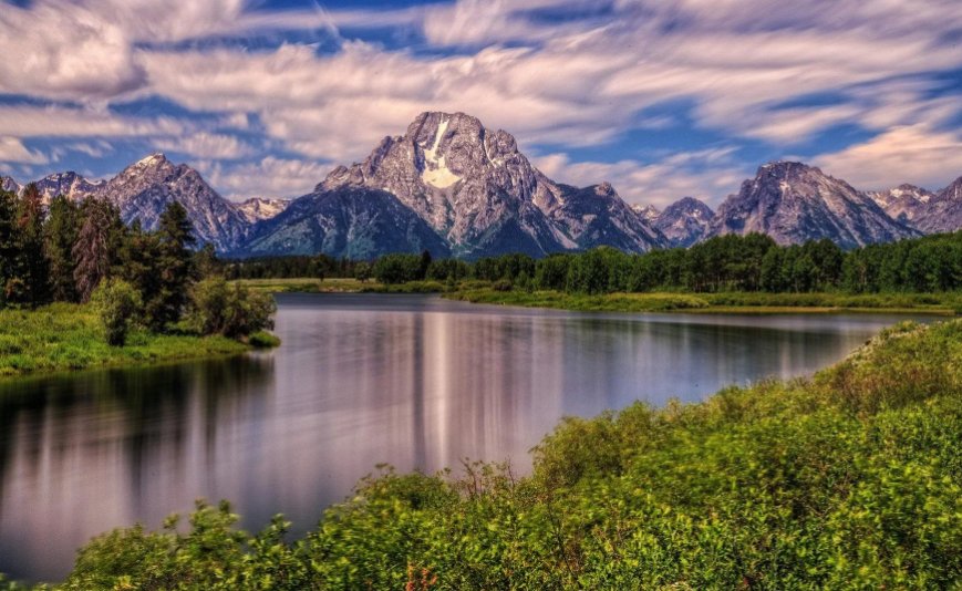 点面结合的句子？