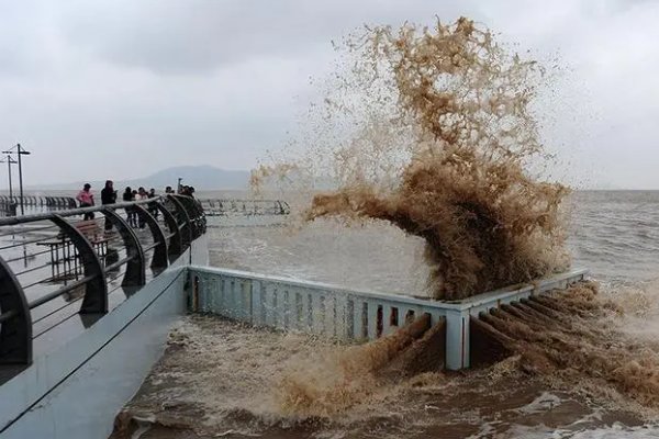海水倒灌啥意思