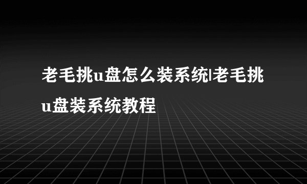 老毛挑u盘怎么装系统|老毛挑u盘装系统教程
